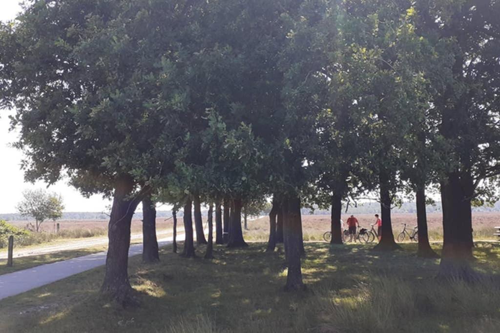 Drentse Bungalow In Natuur En Rust Βίλα Spier Εξωτερικό φωτογραφία