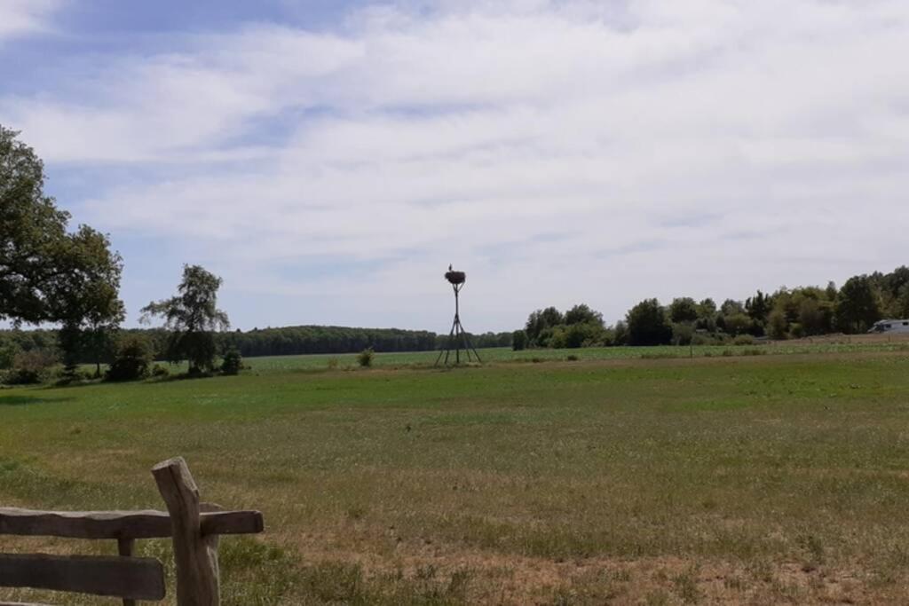 Drentse Bungalow In Natuur En Rust Βίλα Spier Εξωτερικό φωτογραφία