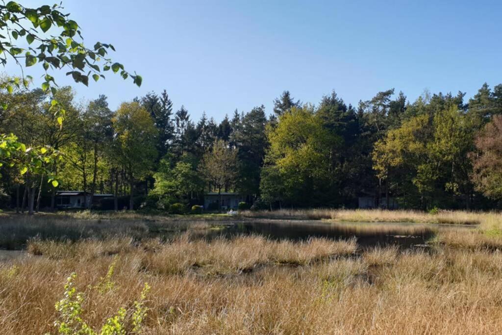 Drentse Bungalow In Natuur En Rust Βίλα Spier Εξωτερικό φωτογραφία