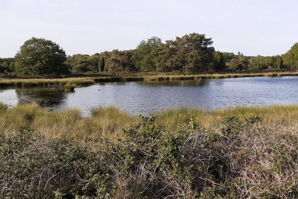 Drentse Bungalow In Natuur En Rust Βίλα Spier Εξωτερικό φωτογραφία