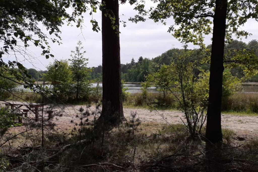 Drentse Bungalow In Natuur En Rust Βίλα Spier Εξωτερικό φωτογραφία