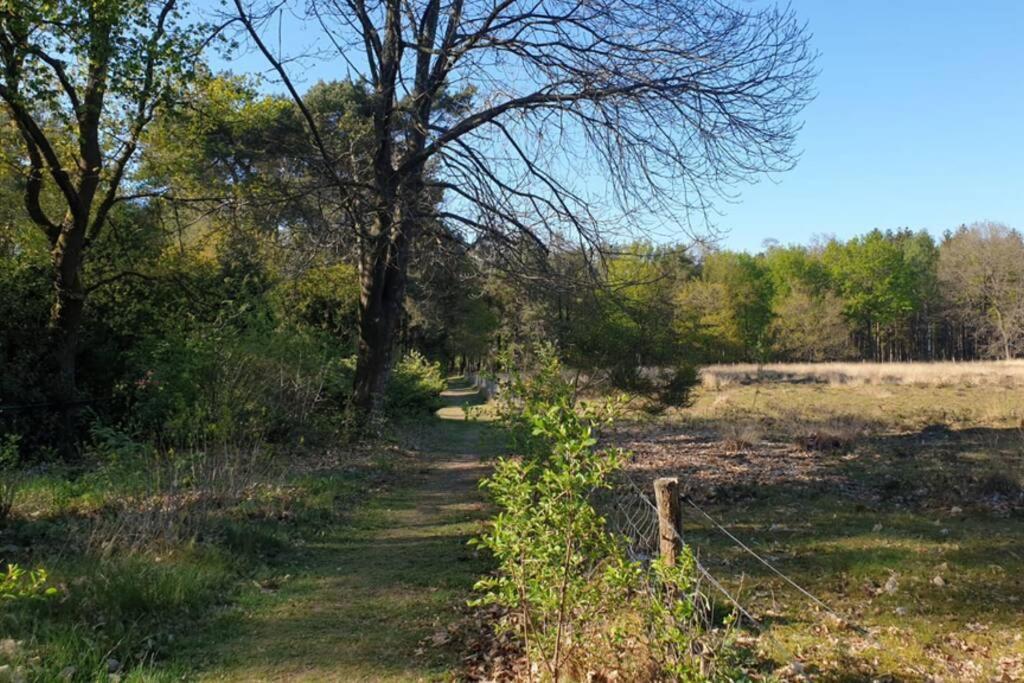 Drentse Bungalow In Natuur En Rust Βίλα Spier Εξωτερικό φωτογραφία