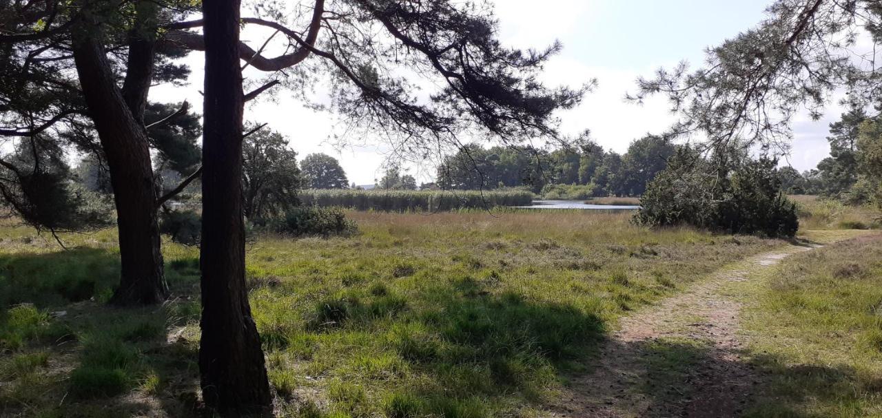 Drentse Bungalow In Natuur En Rust Βίλα Spier Εξωτερικό φωτογραφία