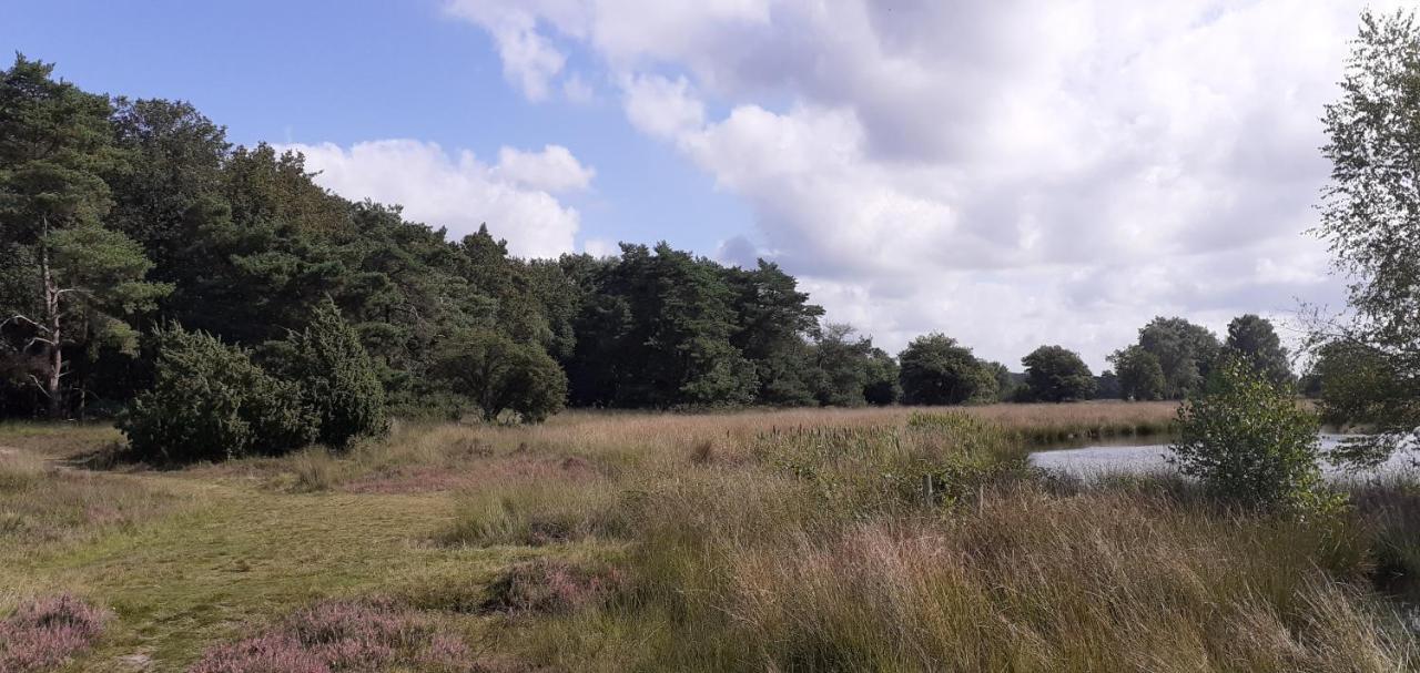 Drentse Bungalow In Natuur En Rust Βίλα Spier Εξωτερικό φωτογραφία