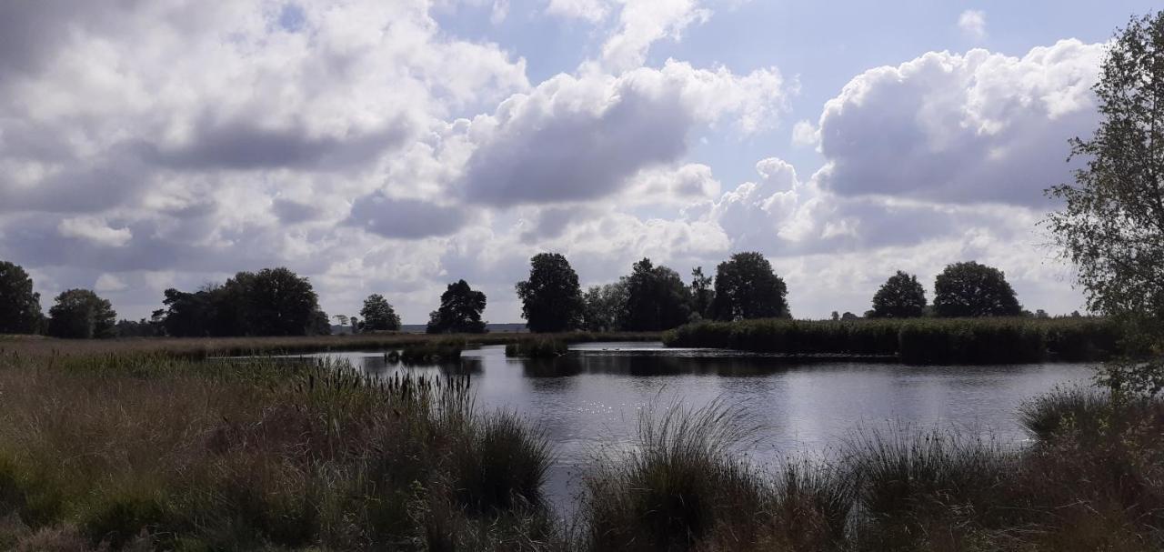 Drentse Bungalow In Natuur En Rust Βίλα Spier Εξωτερικό φωτογραφία