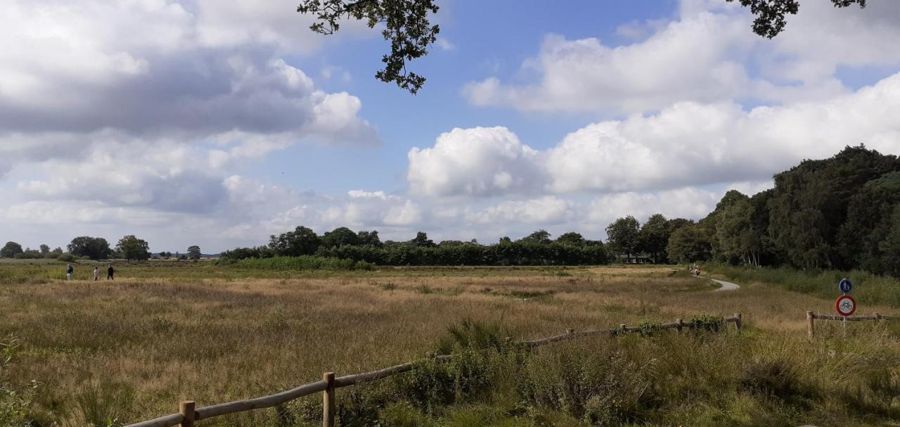 Drentse Bungalow In Natuur En Rust Βίλα Spier Εξωτερικό φωτογραφία