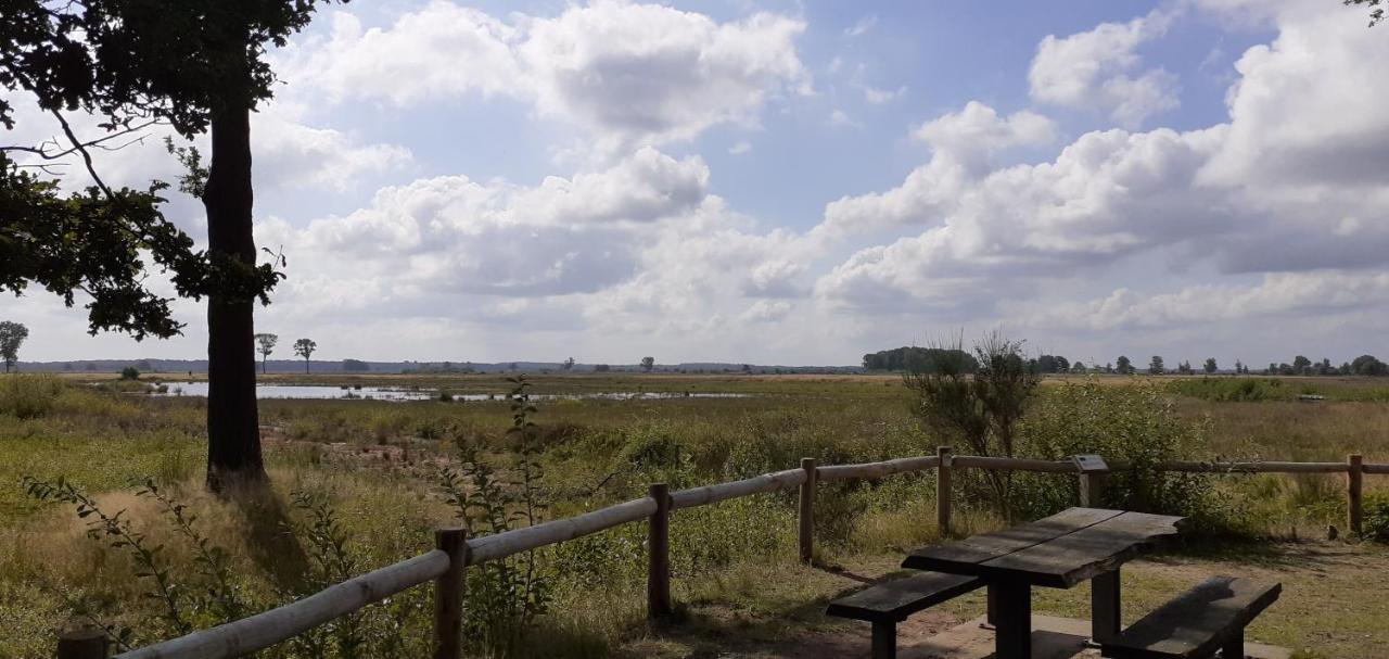 Drentse Bungalow In Natuur En Rust Βίλα Spier Εξωτερικό φωτογραφία