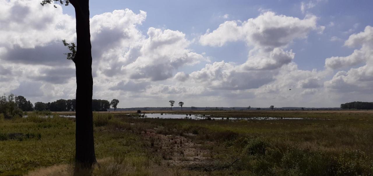 Drentse Bungalow In Natuur En Rust Βίλα Spier Εξωτερικό φωτογραφία