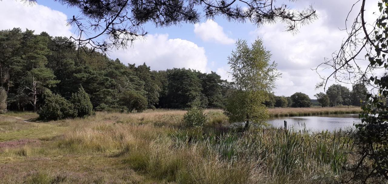 Drentse Bungalow In Natuur En Rust Βίλα Spier Εξωτερικό φωτογραφία