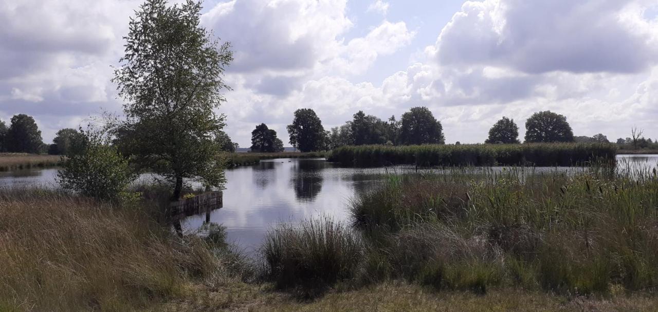 Drentse Bungalow In Natuur En Rust Βίλα Spier Εξωτερικό φωτογραφία