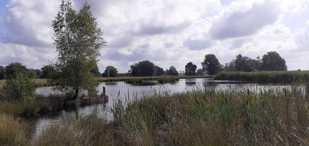 Drentse Bungalow In Natuur En Rust Βίλα Spier Εξωτερικό φωτογραφία