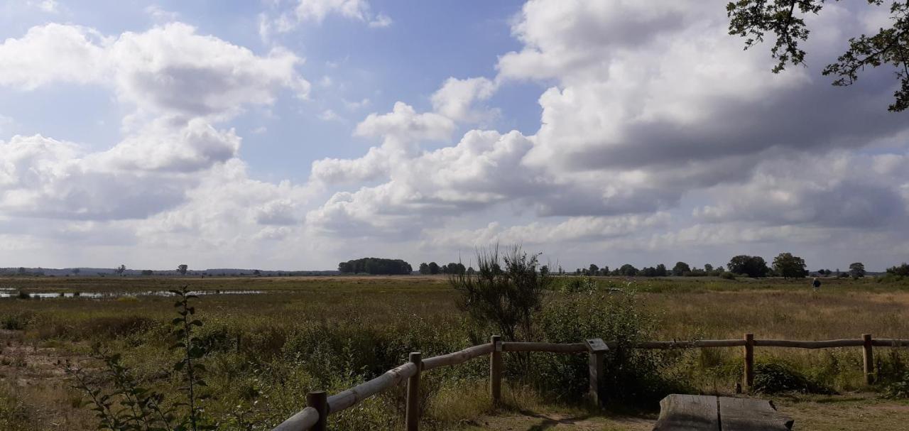 Drentse Bungalow In Natuur En Rust Βίλα Spier Εξωτερικό φωτογραφία